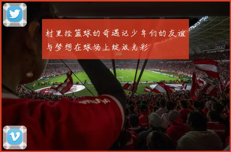 村里捡篮球的奇遇记少年们的友谊与梦想在球场上绽放光彩