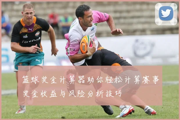 篮球奖金计算器助你轻松计算赛事奖金收益与风险分析技巧