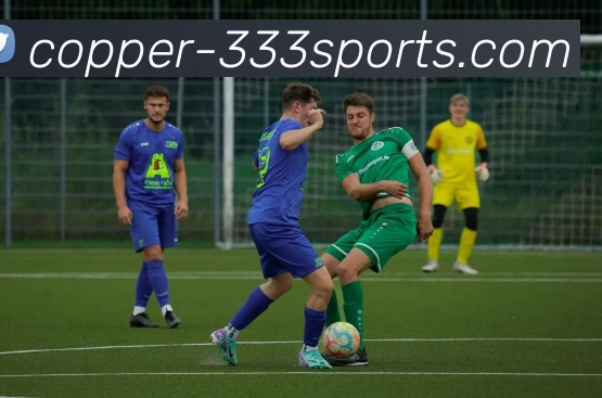 App Interface Preview