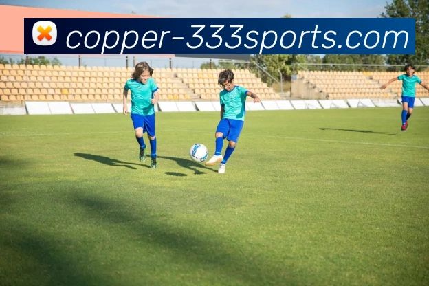 333体育APP 封面图